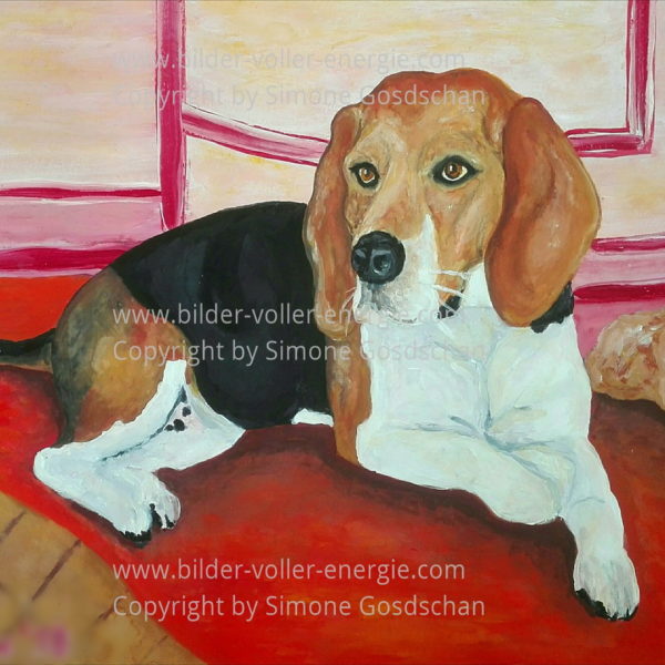 Krafttier Hund Bilder voller Energie