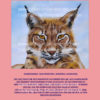 Luchs im Schnee rosa