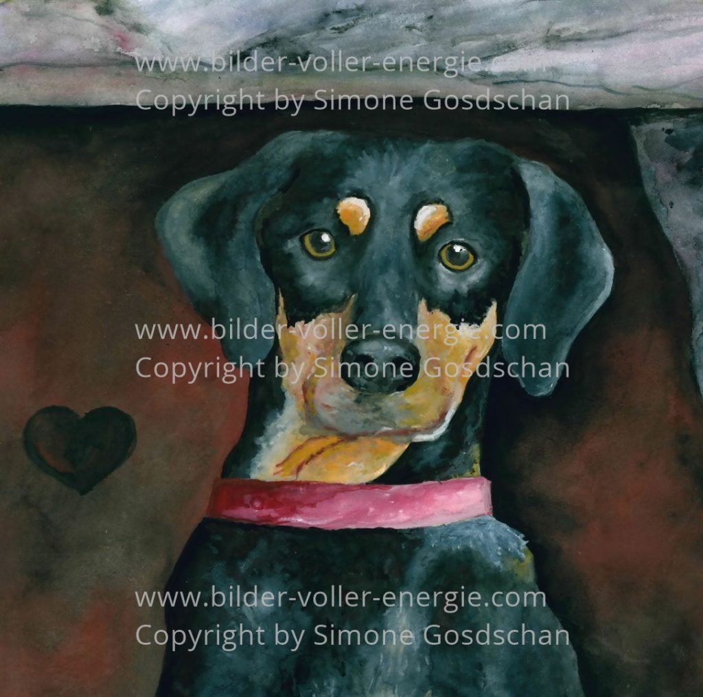 Krafttier Hund Bilder voller Energie