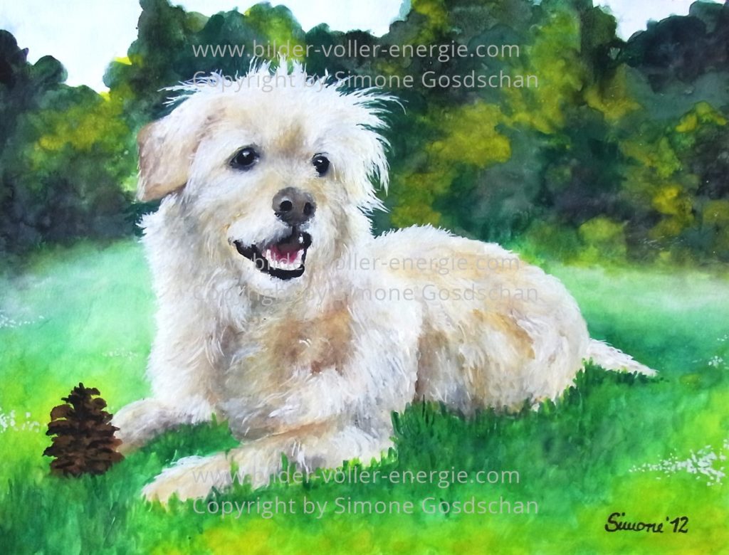 Krafttier Hund Bilder voller Energie