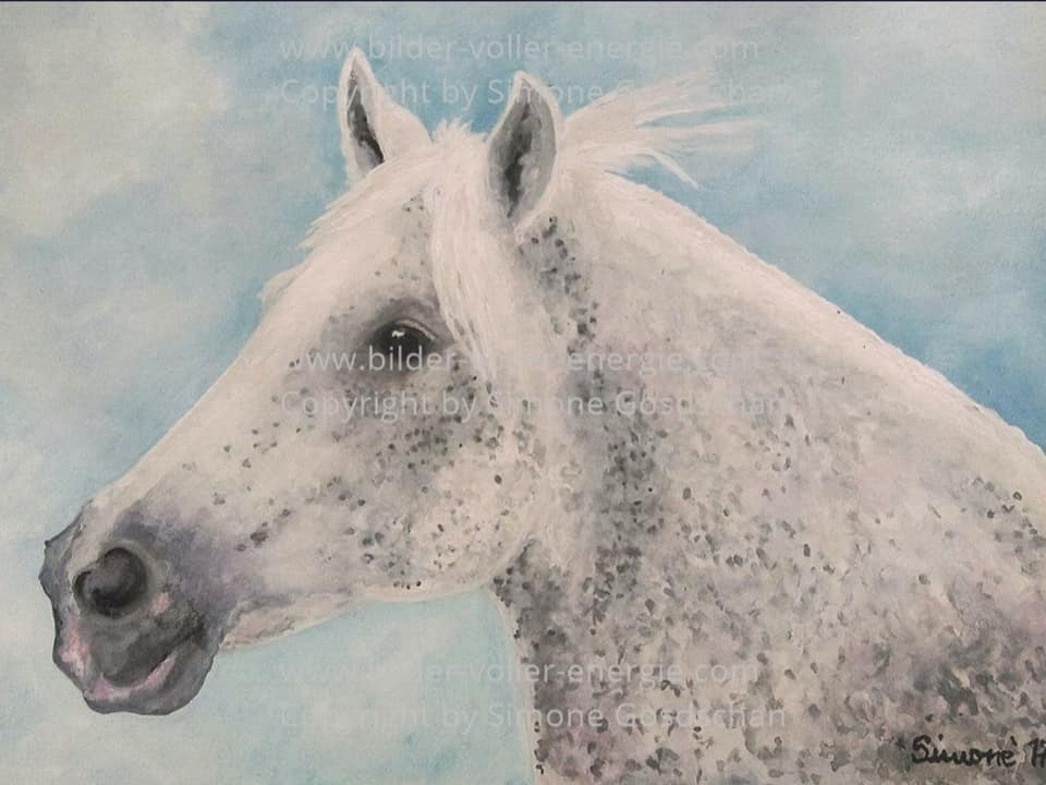 Krafttier Pferd Kalender 2020 &ndash; Bilder voller Energie